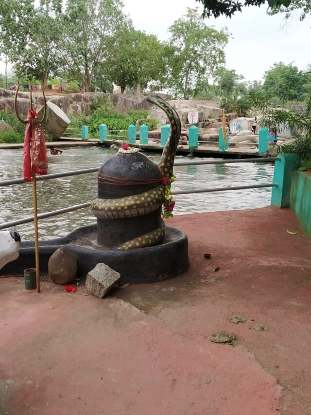 इन चीजों से करें शिव की पूजा, मिलेगा मनचाहा फल